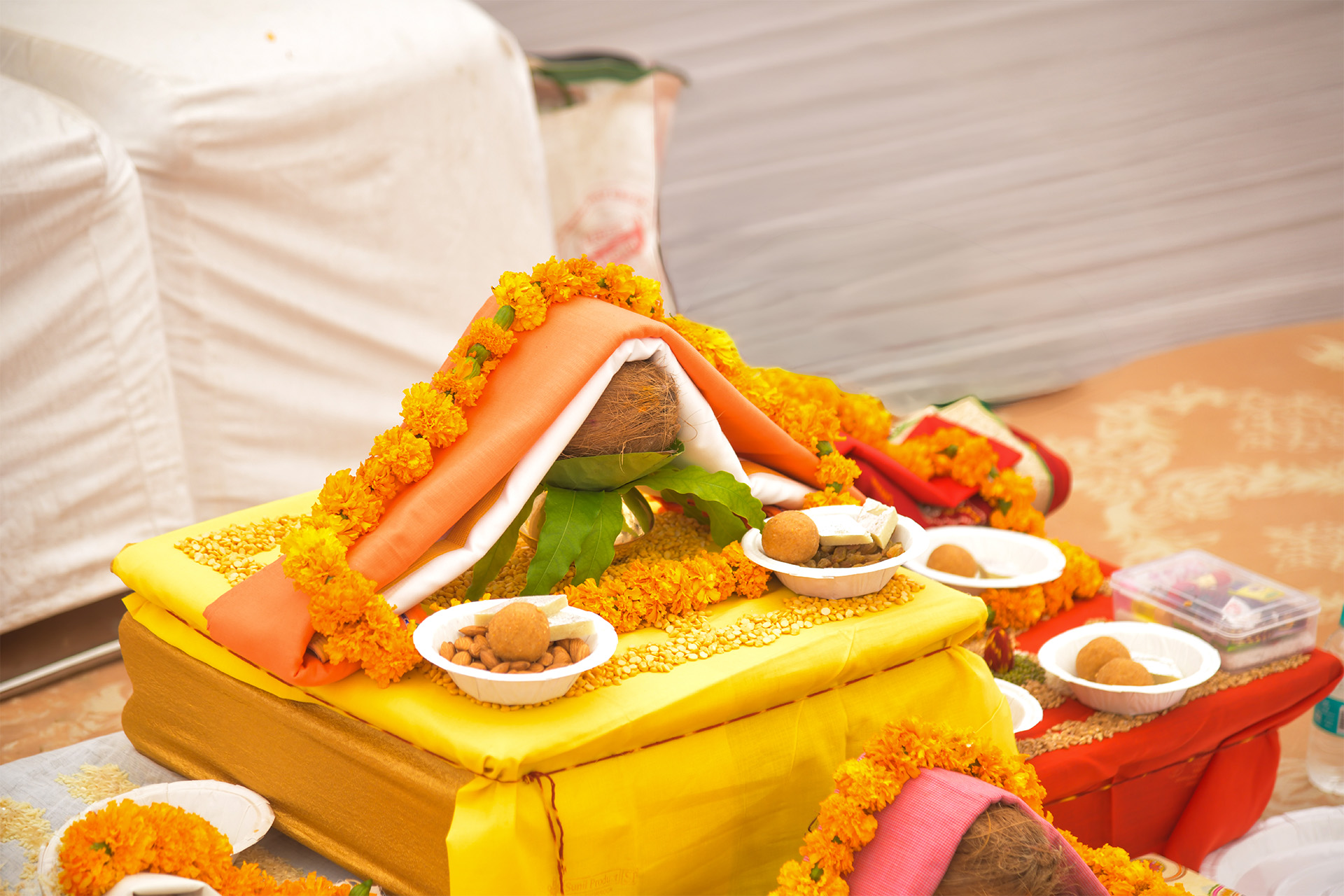 Nature Rudraksh Foundation Stone Ceremony